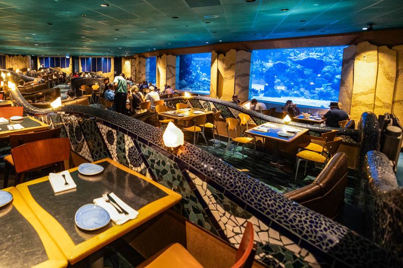 An Immersive Dining Room Designed To Feel Like An Underwater Escape