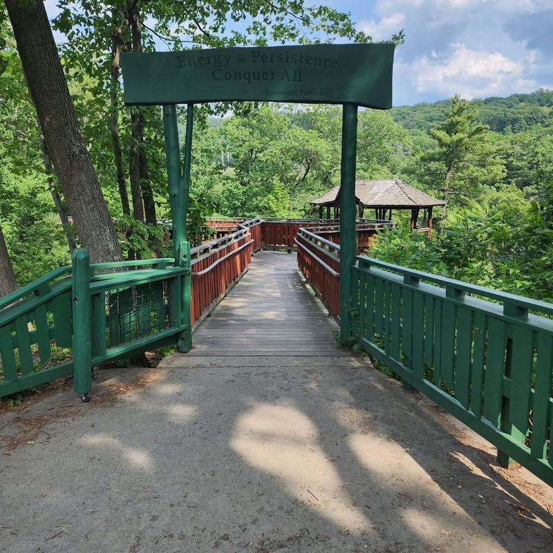 Miles Of Quiet Forest Trails Maintained By The Eagles Mere Conservancy