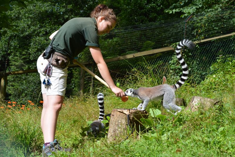 Meet the Keepers Behind the Magic