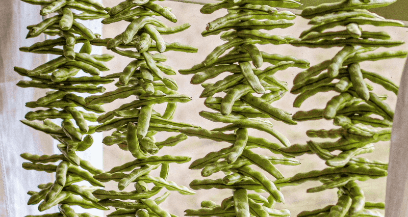 Leather Britches (Dried Green Beans)