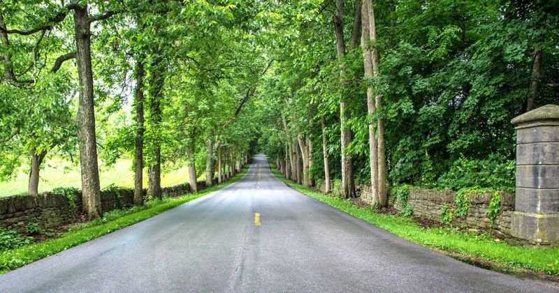 Pisgah Pike (Woodford County)