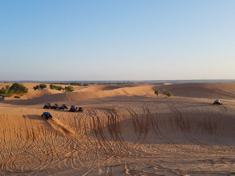 Seasonal Changes That Transform The Dunes