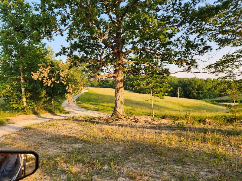 Jack's Creek Pike (Rural Horse Country Road)