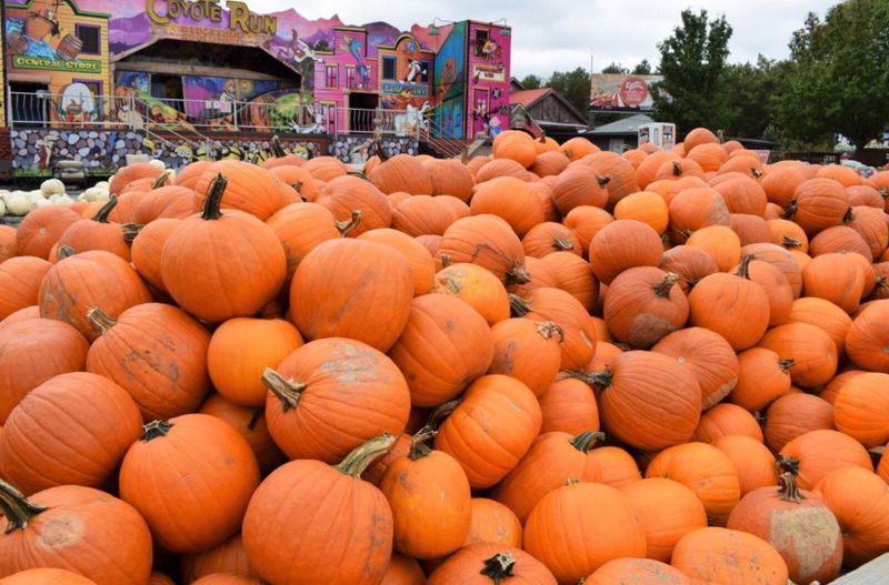 Great Pocono Pumpkin Festival