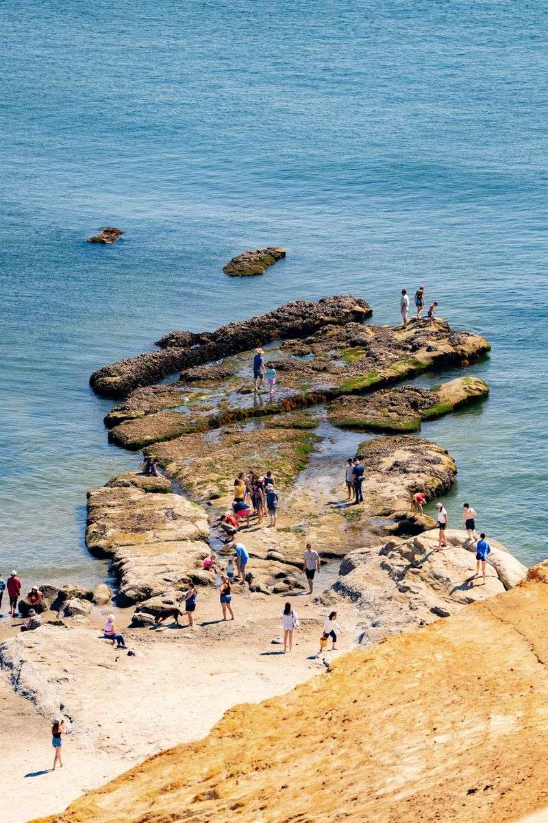 Tide-Pooling That Reveals A Hidden Underwater World