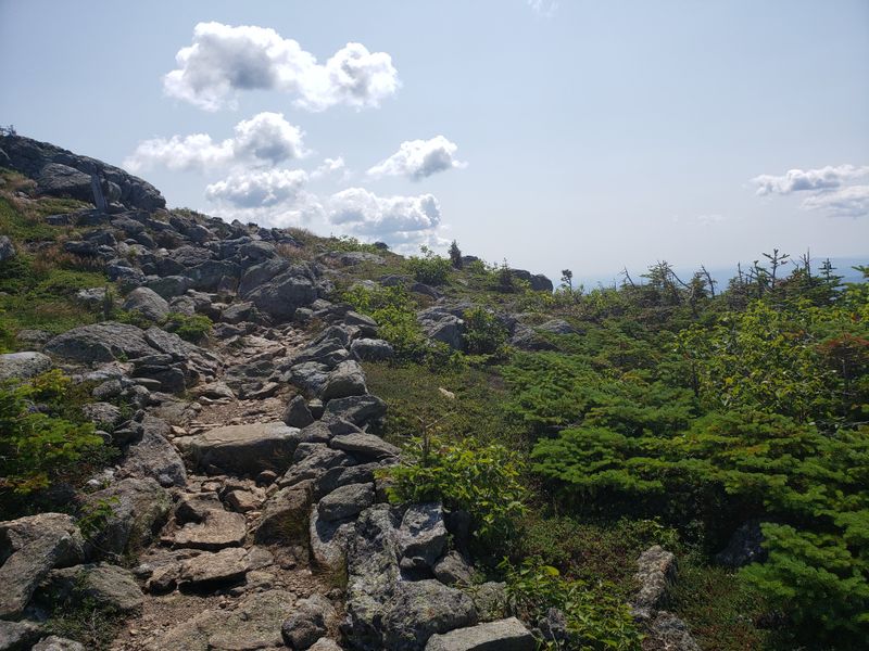 The Appalachian Trail Carves a Route Right Across The Crest