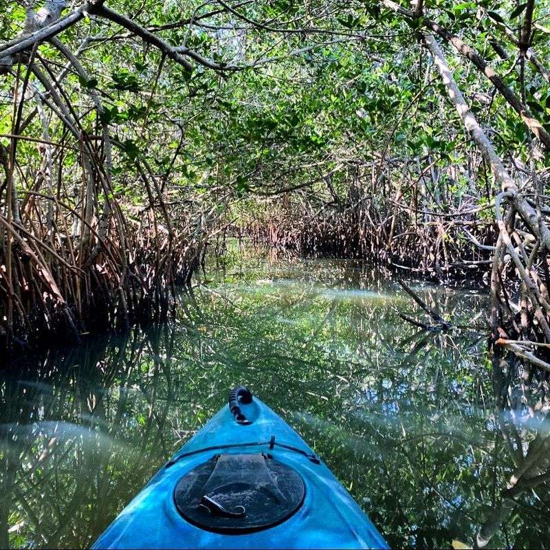 A Hidden Gem Along Florida's Space Coast