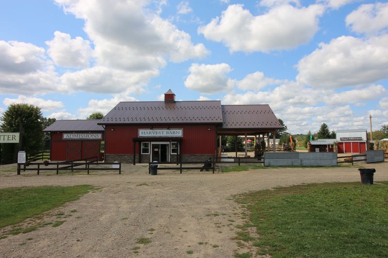 Fall Harvest Festival at Port Farms