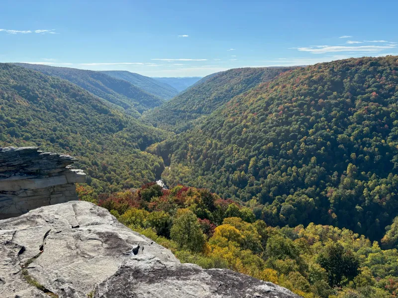 Blackwater Canyon Trail