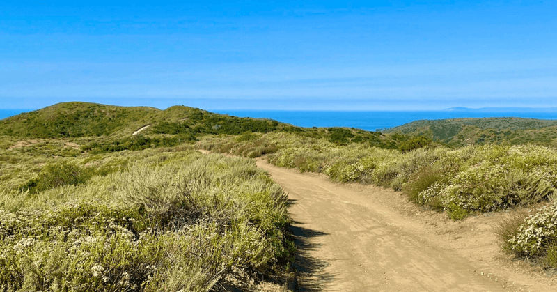 Laurel Canyon (Laguna Beach)