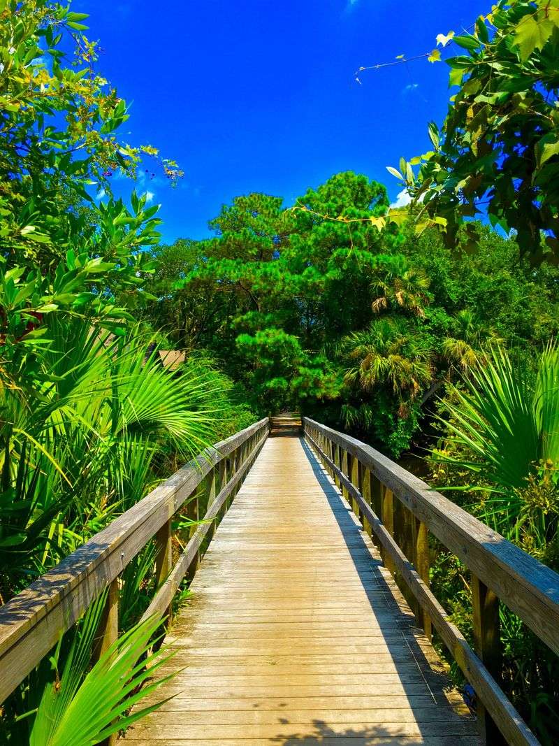 A Car-Light Community That Makes Pedaling Feel Effortless