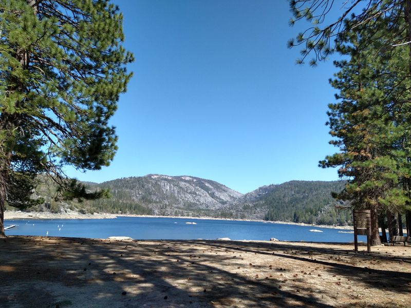 The Lakefront Amphitheater That Feels Like Summer Camp For All Ages