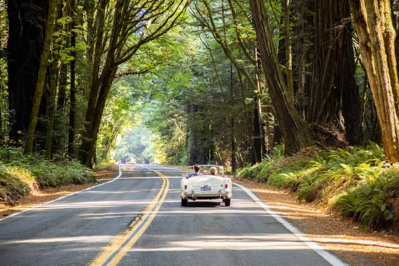 Natural Beauty: Ferndale's Gateway To Redwoods And The Lost Coast