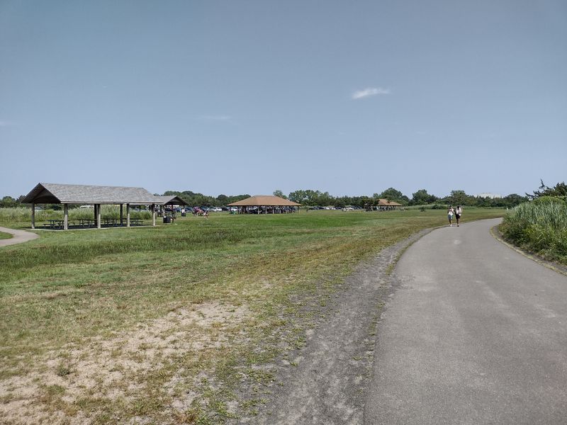 Where The Shoreline Becomes A Bike Lane
