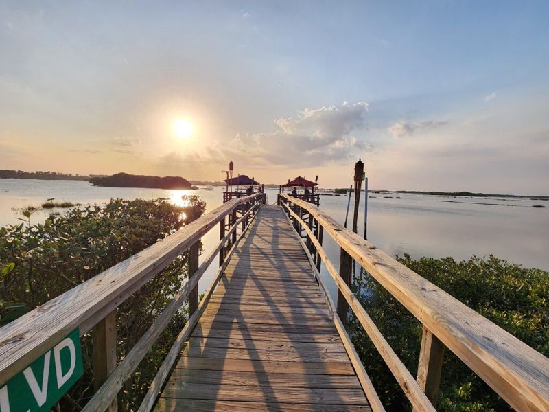 Why Artists And Writers Keep Falling For Cedar Key's Charm