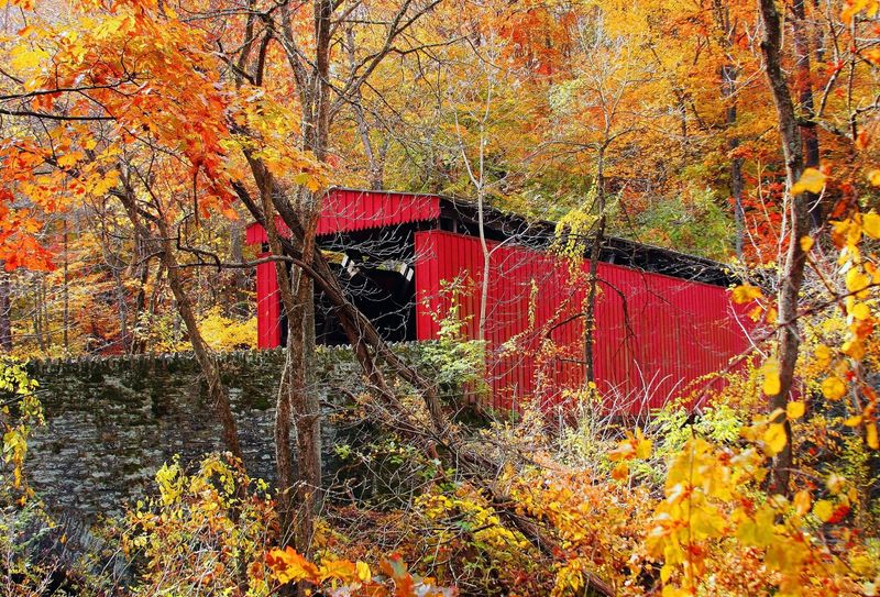 Thomas Mill Covered Bridge (Philadelphia)