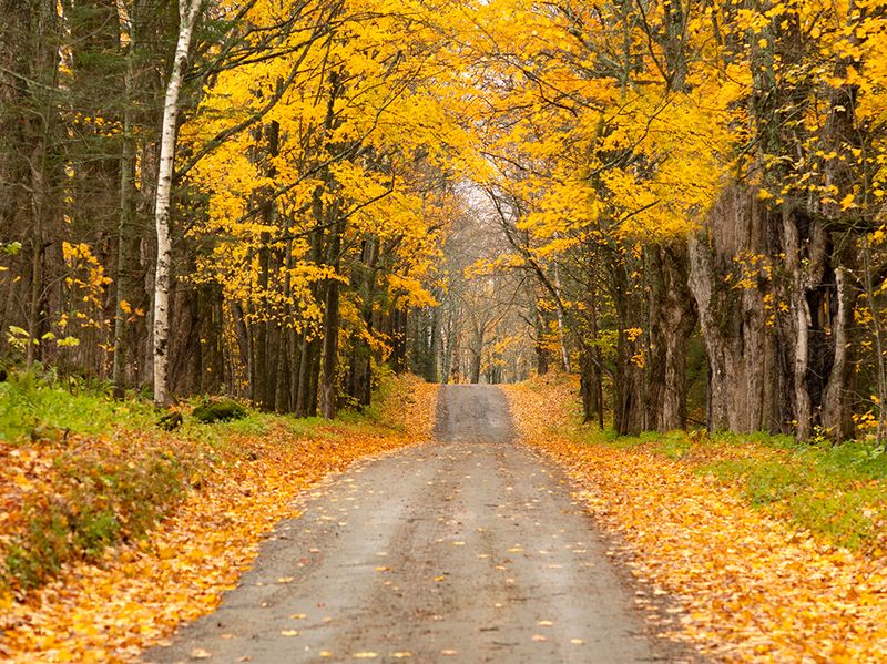 Vermont Route 30 (West-Central Vermont)