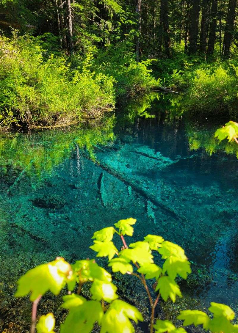Clear Lake (Cascade Mountains)