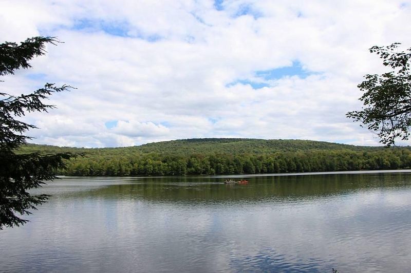 Mongaup Pond (Livingston Manor)