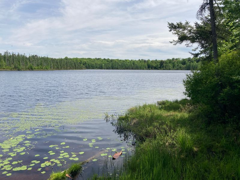 Part Of A Vast Network Of Remote Lakes And Ponds