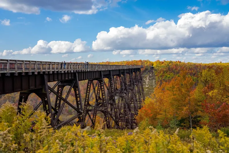 Allegheny National Forest