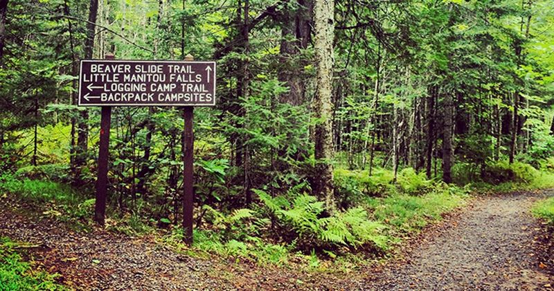 Trails, Swimming, And Wildlife Watching Round Out The Experience