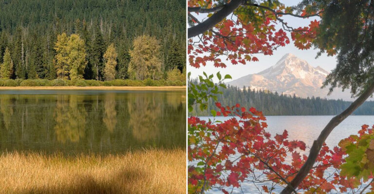 Locals Love This Hidden Oregon Lake For The Perfect Fall Picnic