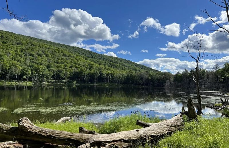 Echo Lake (Woodstock/Phoenicia)