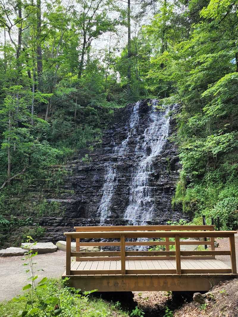 Waverly Glen Falls (Waverly, NY)