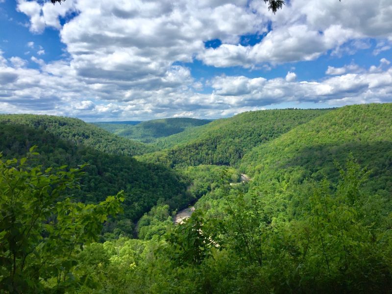 Easy Access To Loyalsock State Forest And Its Sweeping Overlooks