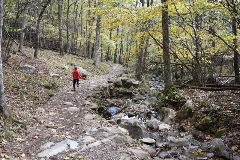 Why This Is One Of Shenandoah's Most Beloved Trails