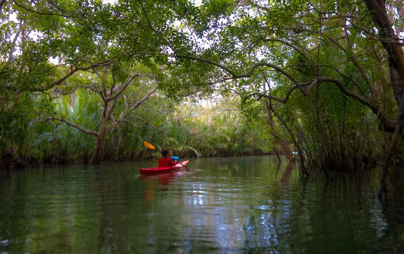 Plan Your Visit: How To Find Florida's Hidden Tunnel