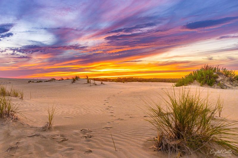 Jockey's Ridge State Park (Nags Head, OBX)