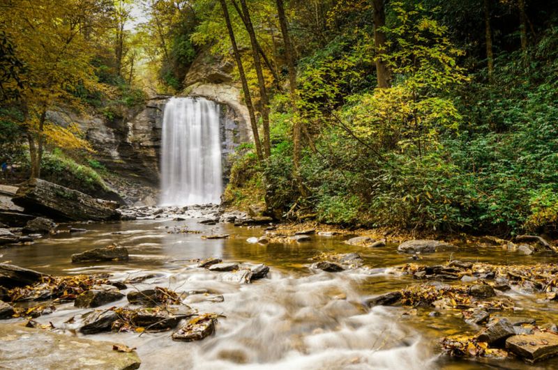 Pisgah National Forest (Near Brevard)