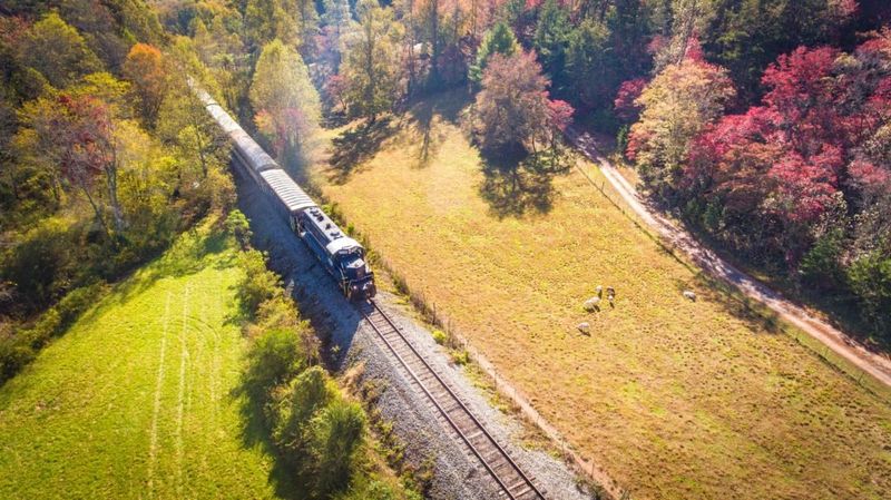 The Blue Ridge Scenic Railway: A Journey Through Quiet Country