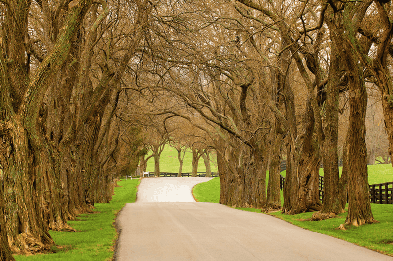 US-68 Scenic Byway (Bluegrass Region)