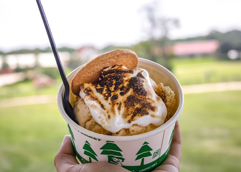 FRESH. Local Ice Cream