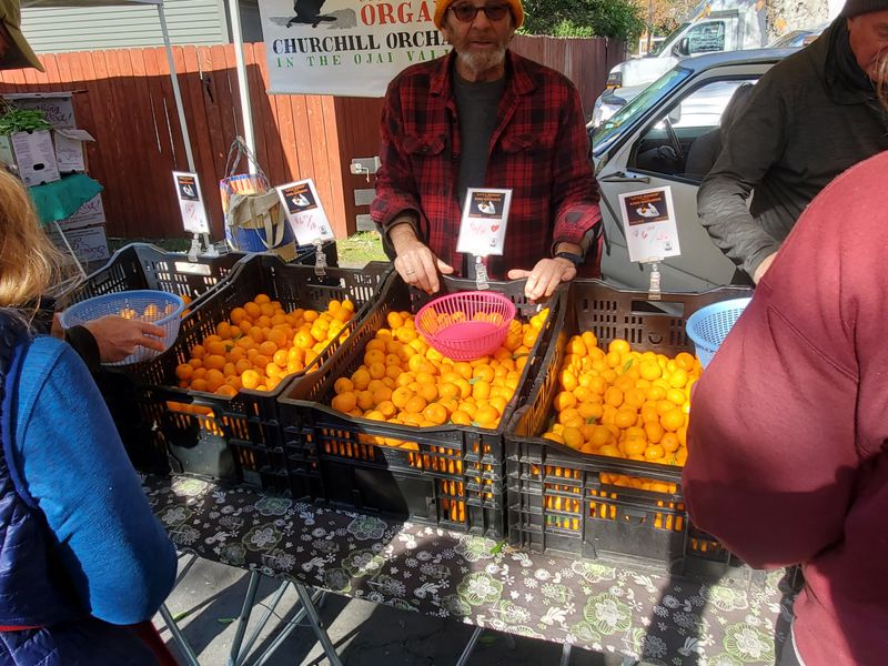 Ojai Certified Farmers Market