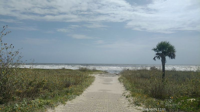 A Birdwatcher's Haven With a Legendary Migratory Path