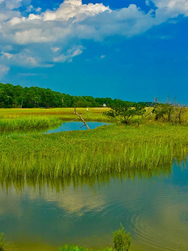 A Coastal Escape That Feels Miles Away From The Rush Of Charleston