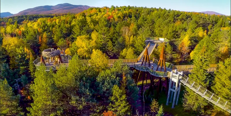 Into the Treetops at The Wild Center in Tupper Lake