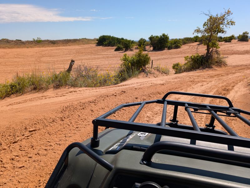 Family-Friendly Fun For All Ages