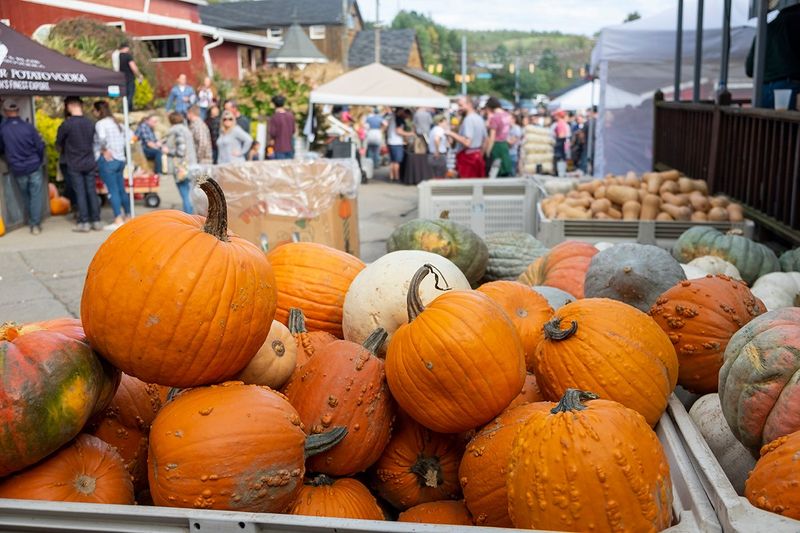 Local Fall Festivals Featuring Cider, Crafts, Pumpkins, And Classic Pennsylvania Flavor