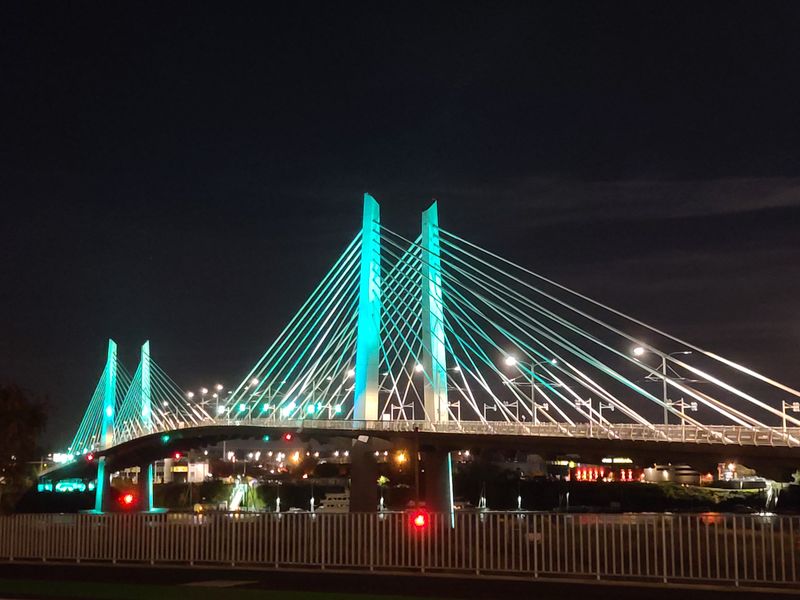 Tilikum Crossing (Portland)