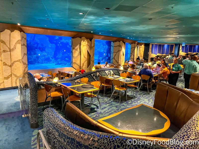 A Wall Of Water: Dine Beside One Of The Largest Aquariums In The Country