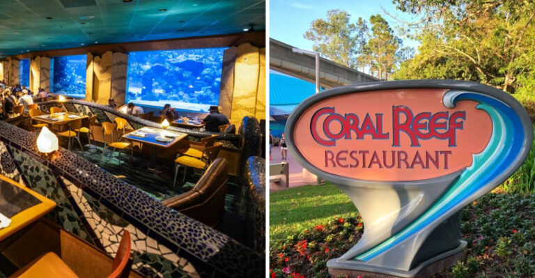 Step Inside Florida’s Magical Aquarium Restaurant That Wows Kids And Adults Alike