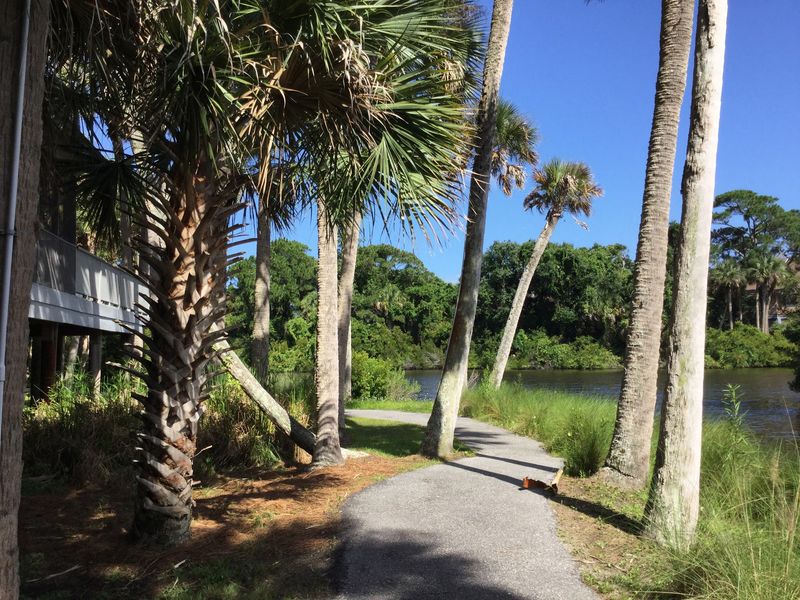 An Island Designed For Cruising: Over 30 Miles Of Scenic Bike Paths