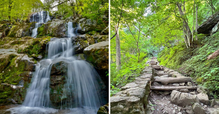 The Dreamy Virginia Forest Trail That Feels Like Walking Into A Movie Scene