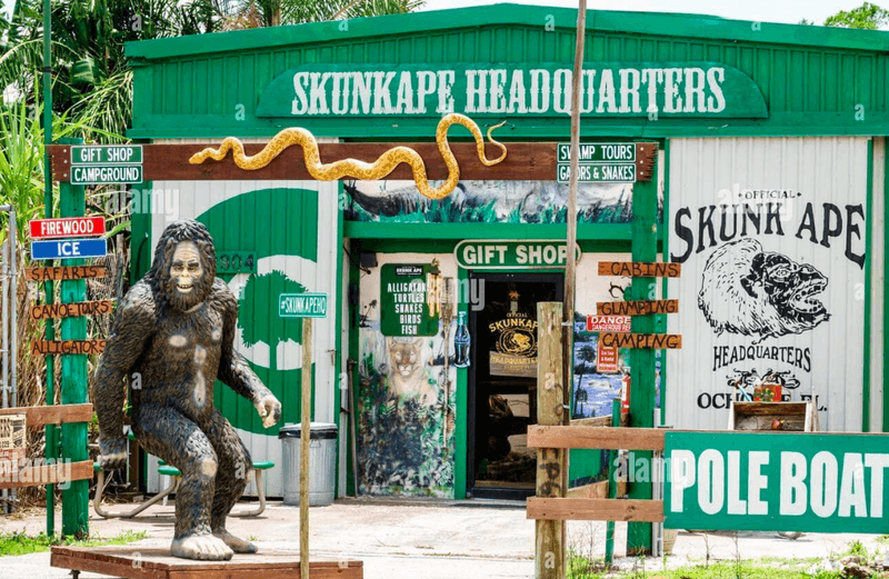 Inside the Headquarters