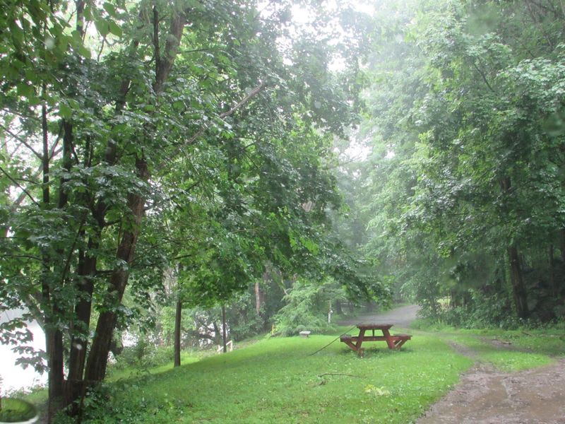 Saved From Oblivion by the Wild Waterways Conservancy